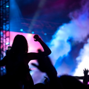 Marvelous Islant EDM Festival Paris - Erasmus of Paris