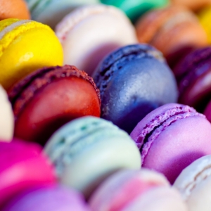 Taste of Paris - Fina Food Festival in Paris - Erasmus of Paris