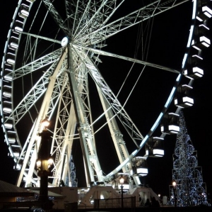 Christmas Illumination Champs Elysees - Erasmus of Paris